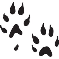 Rienda Libre - Sticker Huellas Patas Paw Huron Mustela Putorius Furo