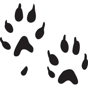 Rienda Libre - Sticker Huellas Patas Paw Huron Mustela Putorius Furo