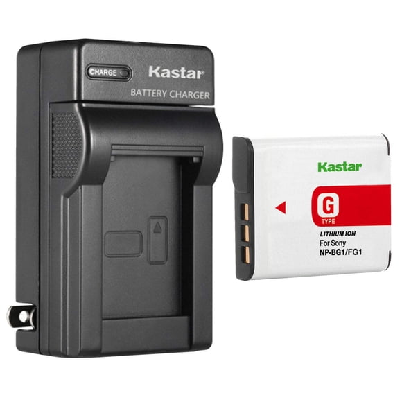 Cargador De Pared De Batería Y Corriente Alterna Para Sony Np Bg1 Np Fg1 Tipo G