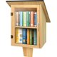 thumbnail image 1 of Caja de Biblioteca Exterior HAFTKD de Madera con Doble Estante, 1 of 8