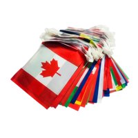 Magideal - Conjunto De Banderines Con Banderas Del Mundo, Banderines De Colores Brillantes, Decoraciones Colgantes Diferentes 20Cmx28Cmx18M