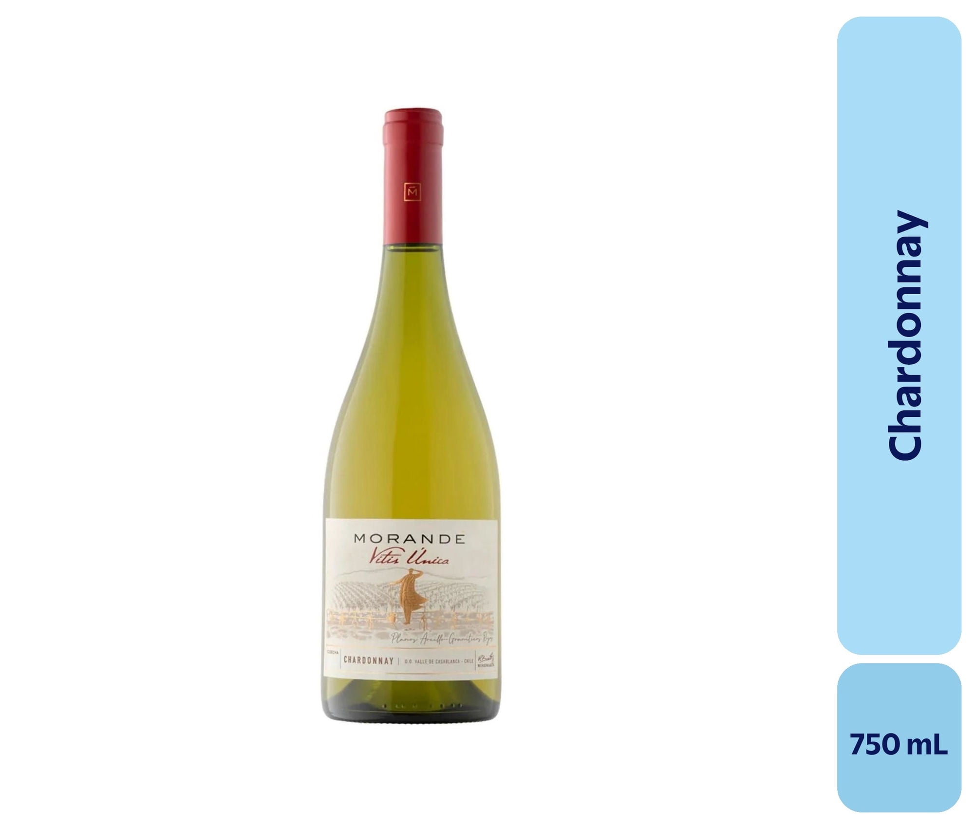 Morande - Vino Chardonnay Botella