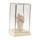 thumbnail image 1 of Vitrina De Vidrio Coleccionable, Caja De Almacenamiento Decorativa Para Figuras De Acción, Estilo B, 1 of 3