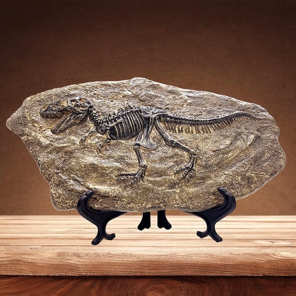 Estatua de Fósil de Tyrannosaurus Rex de Resina XINDAM 34x10x20 cm