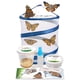 thumbnail image 1 of Kit de mariposas Nature Gift Store con 5 orugas vivas, 1 of 7
