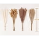 thumbnail image 2 of Pampas 100 Tallos 43 Cm Mix Natural, 2 of 3