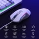 thumbnail image 3 of Combo De Teclado Y Ratón Para Juegos S151 K525 Rgb, 3 of 9