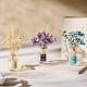 thumbnail image 2 of Difusor de Aromas Airkeep Set 3 Fragancias 150ml Clean Linen, 2 of 3