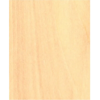 Genérico - Tabla Madera Terciado 15X30 Cm 3 Mm Manualidades Color Natural Lisa