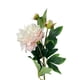 thumbnail image 3 of Peonia Con Boton Rosada Clara 84cm Con Acabado Natural, 3 of 3