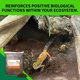 thumbnail image 5 of Sustrato bioactivo para reptiles BIODUDE 5,7 L Terra Sahara, 5 of 7