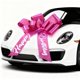 thumbnail image 1 of Lazo para auto GYDbow 76 cm rosa pastel reutilizable, 1 of 7