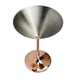 thumbnail image 5 of Copas De Cóctel De Acero Inoxidable Copas Martini Cosmo Copa De Postre 230ml, 5 of 5