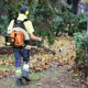 thumbnail image 2 of Soplador de Hojas Sarkoyar 63CC 3HP a Gas con Mochila 23kg, 2 of 6