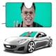 thumbnail image 1 of Lil Pump Parasol para Parabrisas Delantero Protector Plegable, Visera Solar para Auto Bloquea Rayos UV Mantiene tu Vehículo Fresco 140cm*76cm, 1 of 6