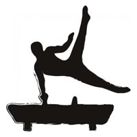 Rienda Libre Graphics - Decomural Gymnastics Sports & Hobbies Ws-18667