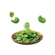 thumbnail image 2 of Snack Habas Saladas 28 Calbee Gr, 2 of 4