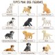 thumbnail image 4 of Juego de figuras de animales Toymany Mini Dog, 12 unidades, regalo para niños, 4 of 9