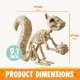 thumbnail image 4 of Escultura JOYIN Esqueleto de Ardilla 23 cm Posable, 4 of 9