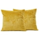 thumbnail image 1 of Cubiertas de almohada de terciopelo 18x18 pulgadas, paquete de 2 - Casos de cojines cuadrados decorativos dorados, súper suaves Decoración del hogar de lujo moderna para sofá, sofá, cama, si, 1 of 3
