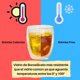 thumbnail image 5 of Set 4 Tazas Espresso Doble Pared 250ml Frio Caliente Sin Asa, 5 of 8