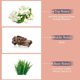 thumbnail image 4 of Perfume Symphony Poudre Bloom EDP 100 ml para mujer, 4 of 6