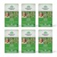 thumbnail image 1 of Tea Organic India Tulsi en bolsitas de té verde, 18 bolsas, 6 unidades, 1 of 7
