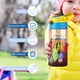 thumbnail image 5 of Botella de Agua Angry Birds Isla Misteriosa Azul 12 Oz, 5 of 6