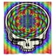 thumbnail image 1 of Cortina de ducha de Grateful Dead, juego de cortina de baño con ganchos, tamaño 66 x 72 pulgadas, 1 of 3
