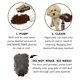thumbnail image 4 of Baño sin agua The Mitt Kit Dog Grooming Pride and Groom, 4 of 7