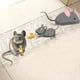thumbnail image 1 of 1pc Sticky Rat Trap Blanket Super Glue Rat Killing Magic Blanket Large Mouse Sticker Household Rat Trapper 47.24inch*10.83inch, 1 of 4