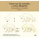 thumbnail image 1 of Como Son Los Animales Y Como Dibujarlos, 1 of 3