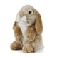 thumbnail image 1 of Animal de peluche Living Nature, conejo de orejas caídas sentado, marrón, 1 of 7