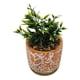 thumbnail image 2 of Planta Artificial Macetero Cerámica Antiguo Vintage Naranjo, 2 of 3