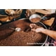 thumbnail image 3 of Cápsulas de Café Cozy Up Tueste Francés 100 unidades K‑Cup, 3 of 7