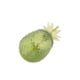 thumbnail image 3 of Vaso Piña Verde 650 Ml, 3 of 3
