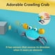 thumbnail image 2 of Juguete Para Bebés Crawling Crab De 0 A 36 Meses, 2 of 7