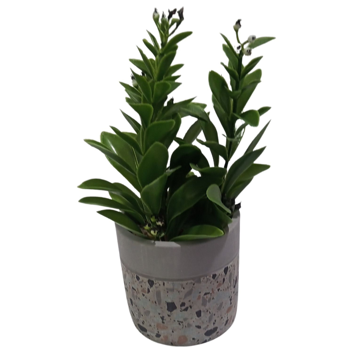 Homeessentials - Planta Artificial Maceta Cemento 23 Cm