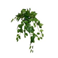 Corel - Arreglo De Hiedra Philodendro 80Cm Con Acabado Natural Artificial