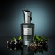 thumbnail image 2 of Perfume MIND GAMES Ruy Lopez Extrait de Parfum 100 ml, 2 of 4