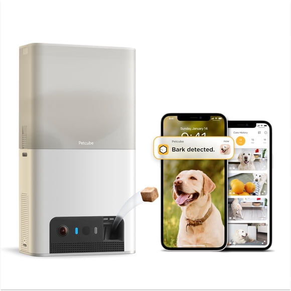 Cámara De Monitoreo Para Mascotas Bites 2 Lite Con Care Adicional