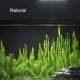 thumbnail image 5 of Luz LED para Acuario Carefree Fish RGBW 8W USB 5V, 5 of 7