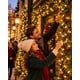 thumbnail image 1 of Luces Lineal 500 LED Lineal 32 Metros Navidad, 1 of 7