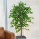 thumbnail image 4 of 2 X 1 Plantas Artificiales Ficus 160 Cm Verde, 4 of 9