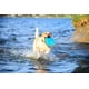 thumbnail image 2 of Juguete para perros Flying Disc Chuckit! Paraflight para perros pequeños, 2 of 6