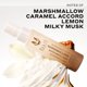 thumbnail image 3 of Bruma aromática Ellis Brooklyn MARSHMALLOWS Gourmand 100 ml, 3 of 6