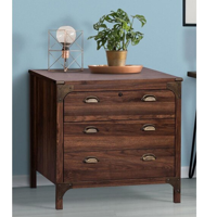 Msa Muebles Santa Ana - Cajonera 2 Cajones Walnut Line