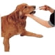 thumbnail image 4 of Pet Pill Gun Aylbcz Handy Piller, dispensador de tabletas para mascotas, 4 of 5
