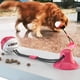 thumbnail image 3 of Pet Molar Bite Toy, Durable Dog Tug Rope Ball Toy With Suction Cup Dog Teeth Cleaning Treats, 3 of 3