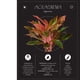 thumbnail image 3 of La magia de las plantas, 3 of 5